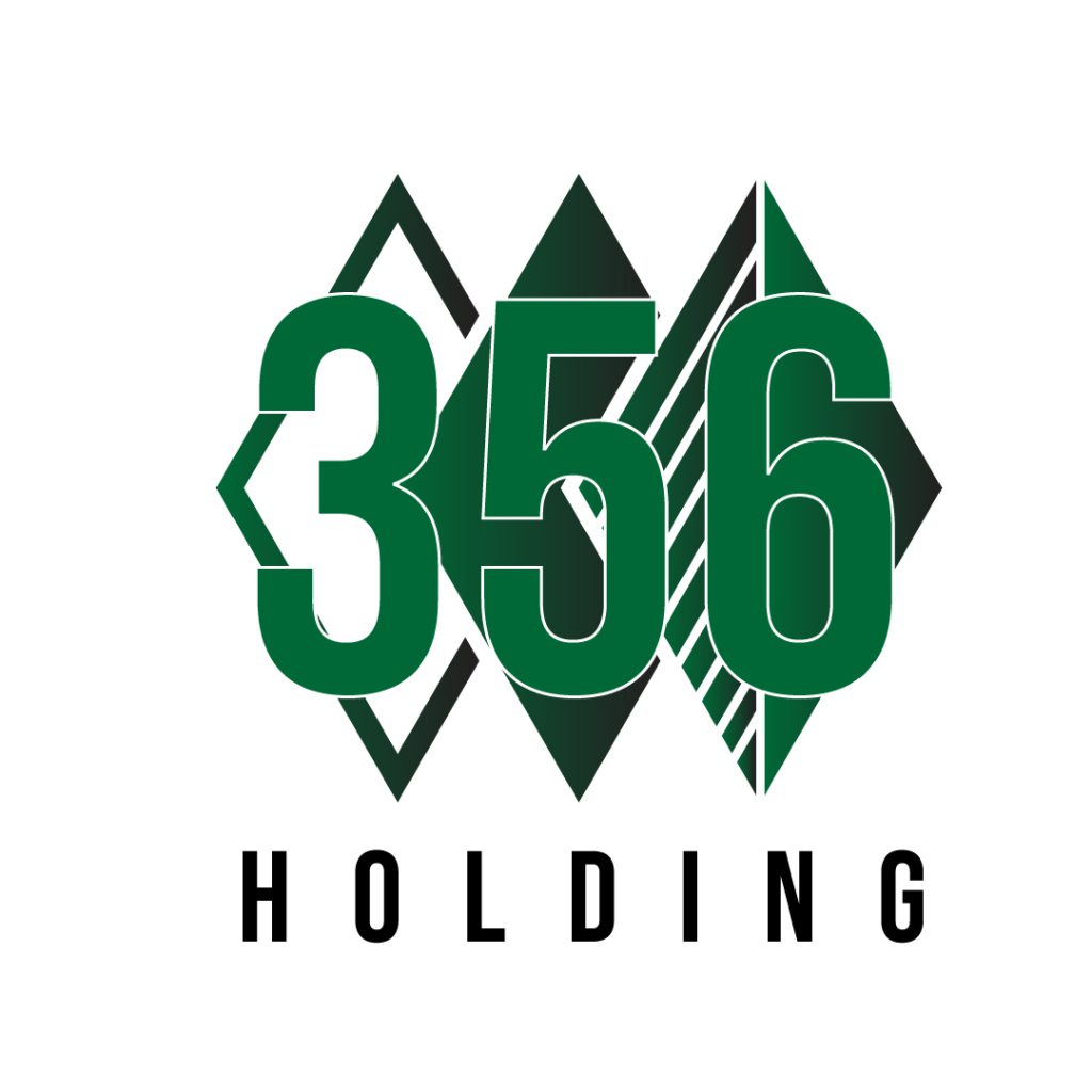 356 HOLDINGS 1 356 HOLDINGS 1